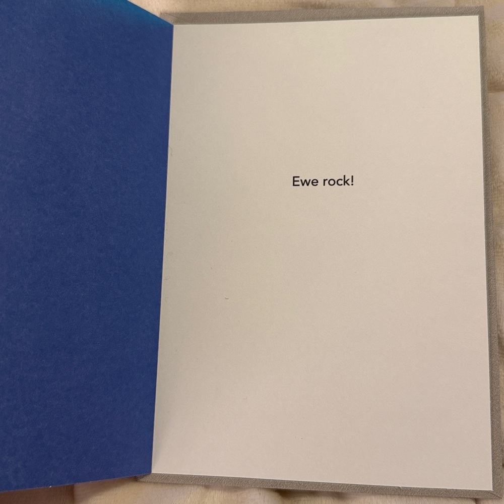🌻 Shoebox by Hallmark Punny Sheep Birthday Cards Bundle - Picture 6 of 7